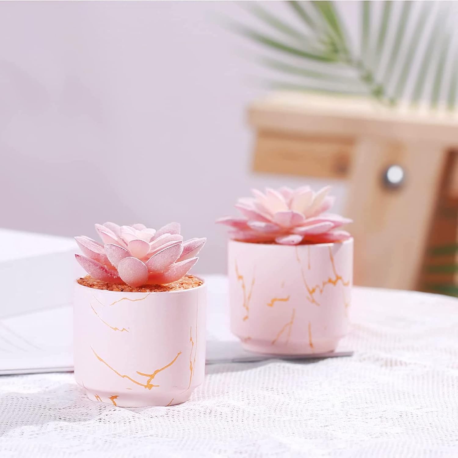 Blooming Mini Succulents