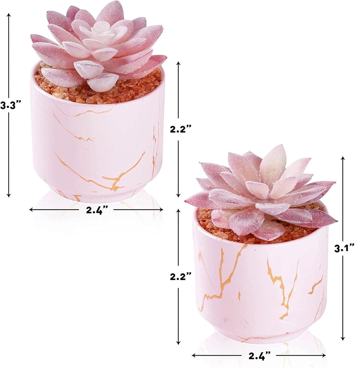 Blooming Mini Succulents
