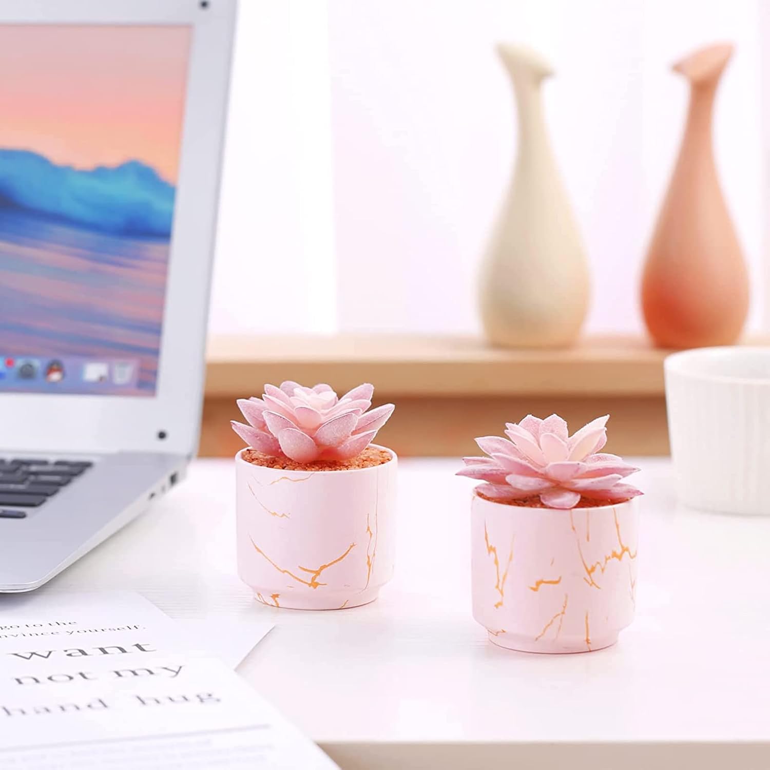 Blooming Mini Succulents